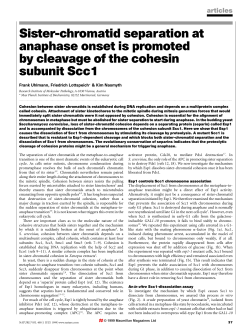 Sister-chromatid separation at anaphase onset is