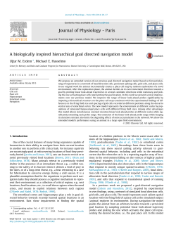 A biologically inspired hierarchical goal directed