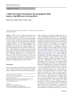 A little movement orientated to the geomagnetic Weld makes a big
