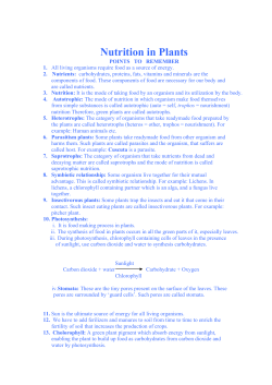 Nutrition in Plants