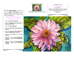 PINK GERBER DAISY TUTORIAL