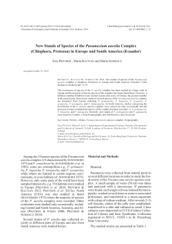 (Ciliophora, Protozoa) in Europe and South America