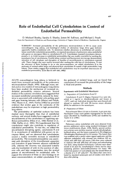 Role of Endothelial Cell Cytoskeleton in Control of Endothelial