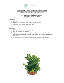 Houseplants: Plant Products in Your Home