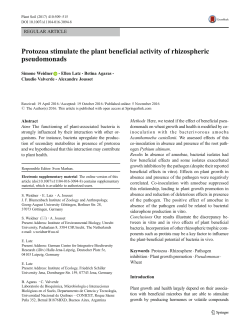 Protozoa stimulate the plant beneficial activity of rhizospheric