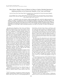 as a PDF