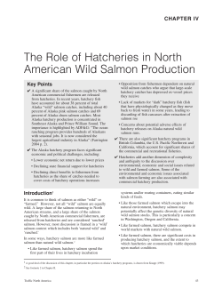 Salmon Report_Chapter 4 - ISER