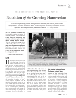 Nutrition of the Growing Hanoverian
