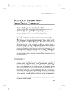 EVOLUTIONARY PATTERNS AMONG PERMO