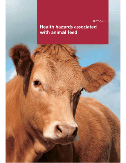 Health hazards associated with animal feed