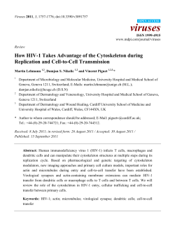 How HIV-1 Takes Advantage of the Cytoskeleton during Replication
