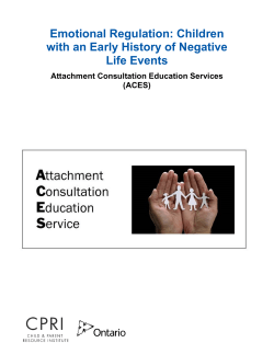 Emotional Regulation: Children with an Early History of Negative