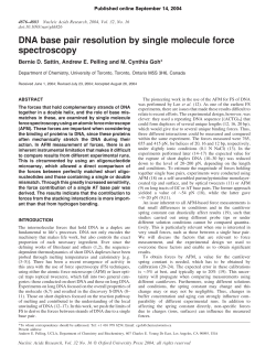 DNA base pair resolution by single molecule