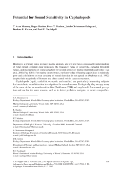 Potential for Sound Sensitivity in Cephalopods