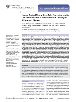 Human Cortical Neural Stem Cells Expressing Insulin