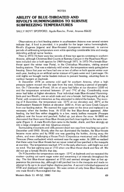 Ability of Blue-Throated and Rivoli`s Hummingbirds to Survive