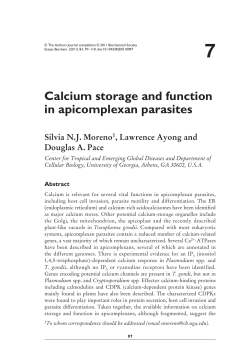 Calcium storage and function in apicomplexan parasites