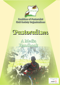 Pastoralism - Find the Best Cheap Auto Insurance Policies Right Now