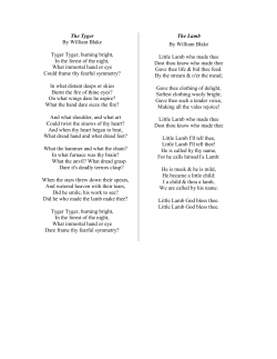 The Tyger - Houston ISD