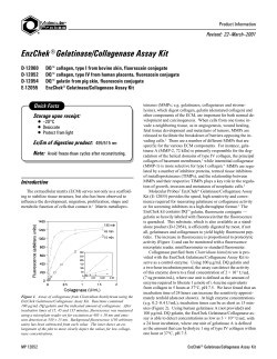 EnzChek Gelatinase/Collagenase Assay Kit