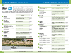 whale watching sites - Tourisme Côte-Nord