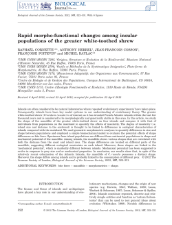 Rapid morphofunctional changes among insular
