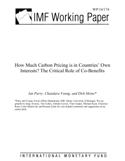 How Much Carbon Pricing is in Countries` Own Interests?