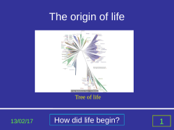 The Origin of Life - divertimentum.org