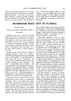 mushroom root rot in florida - Florida State Horticultural Society