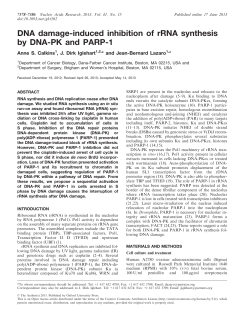 DNA damage-induced inhibition of rRNA synthesis by DNA