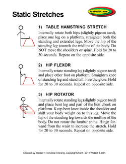 Static Stretches