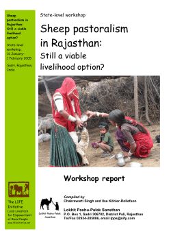 Sheep pastoralism in Rajasthan - Lokhit Pashu