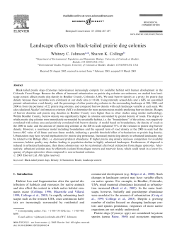 Landscape effects on black-tailed prairie dog colonies