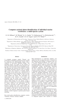 Computer-assisted photo-identification of individual marine