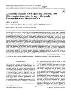 A cladistic analysis of Siboglinidae Caullery