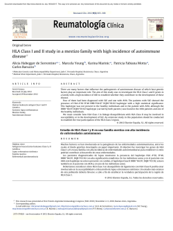 HLA Class I and II study in a mestizo family with