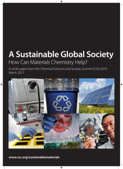 A Sustainable Global Society