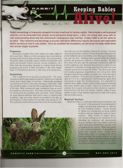 Rabbit RX Keeping Babies Alive with Dr. Jay Hreiz