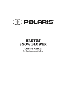 brutus snow blower