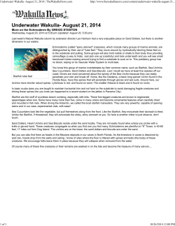 on Echinoderms 21Aug2014