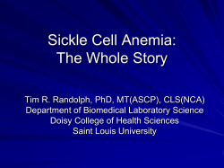 Sickle Cell Anemia: The Whole Story