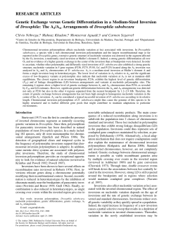 Genetic Exchange versus Genetic Differentiation in a Medium