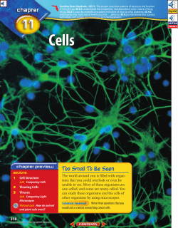 Chapter 11: Cells
