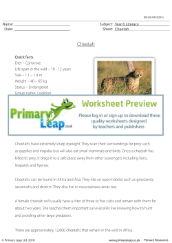 Reading comprehension - Cheetah