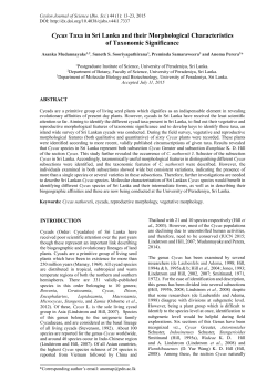 Cycas Taxa in Sri Lanka and their Morphological Characteristics of