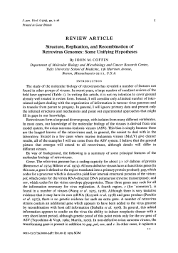 REVIEW ARTICLE Structure, Replication, and Recombination of