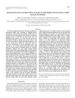 kinematics of flap-bounding flight in the zebra finch over a wide