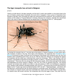 The tiger mosquito has arrived in Belgium - Reflexions