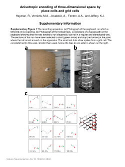 Anisotropic encoding of three-dimensional space by place