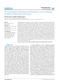 The importance of structural anisotropy in computational models of